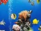 遊戲Sea Underwater Difference在線