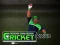 遊戲Cricket Fielder Challenge在線