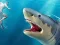 遊戲Shark Hunting在線