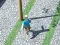遊戲City Run 3D在線