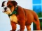 遊戲Bulldog Puppy Puzzle在線