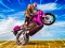 遊戲Crazy Wheelie Motorider在線