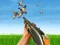 遊戲Bird Hunting在線