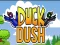 遊戲Duck Dash在線