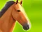 遊戲Horse Run 3D在線