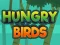 遊戲Hungry Birds在線