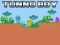 遊戲Tunno Boy在線