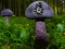 遊戲Mushroom Forest Adventure在線