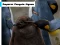 遊戲Emperor Penguin Jigsaw在線