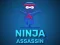 遊戲Ninja Assassin在線