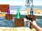 遊戲Bottle Shooter games在線