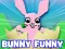 遊戲Bunny Funny在線
