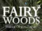遊戲Fairy Woods Hidden Objects在線