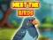遊戲Meet The Birds在線