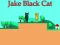 遊戲Jake Black Cat在線