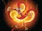 遊戲Chinese Dragons Coloring在線
