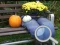 遊戲Autumn Garden Find 100 butterflies在線