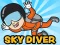 遊戲Skydiver在線