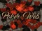 遊戲Poker Web在線