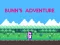 遊戲Bunn's Adventure在線