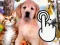 遊戲Pets Clicker在線