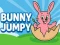 遊戲Bunny Jumpy在線
