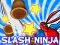 遊戲Slash Ninja在線