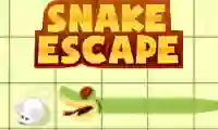 遊戲Snake escape在線