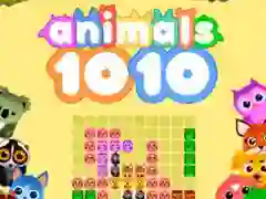 遊戲1010 Animals在線