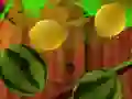 遊戲Fruit Break在線