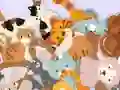 遊戲Find The Kitty在線