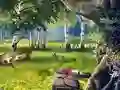 遊戲Scout Camp在線