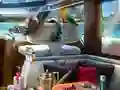 遊戲Caribbean Crime在線