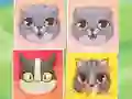 遊戲Kitten Match在線