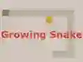 遊戲Growing Snake在線