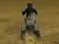 遊戲Real Moto Stunts Challenge在線