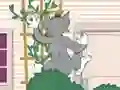 遊戲Tom und Jerry: Wasserbomben Wahnsinn在線