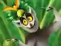遊戲King Julien: Mango Mania在線