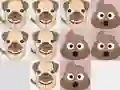 遊戲Daily Dog Pooh在線