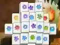 遊戲Spring Flower在線