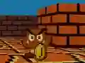 遊戲Mario FPS在線