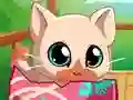 遊戲My Pocket Pets Kitty Cat在線
