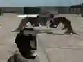 遊戲Mech Aggression在線