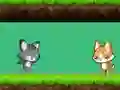 遊戲Cat vs Dog在線