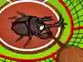 遊戲Animal Olympics Hammer Throw在線