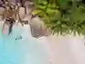 遊戲Seychelles Beach Jigsaw Puzzle在線