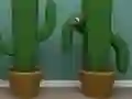 遊戲Cactus Cube在線