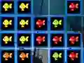 遊戲1010 Fish Blocks在線
