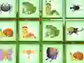 遊戲Find The Insect在線