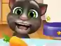 遊戲Talking Tom Hidden Stars在線